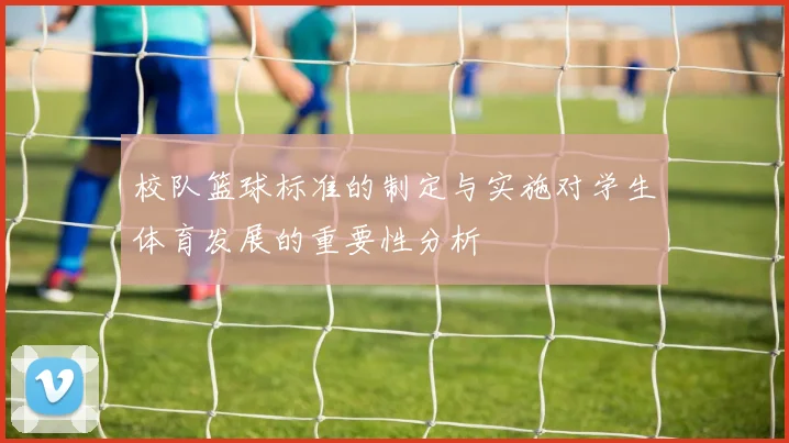 校队篮球标准的制定与实施对学生体育发展的重要性分析