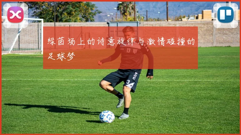 绿茵场上的诗意旋律与激情碰撞的足球梦
